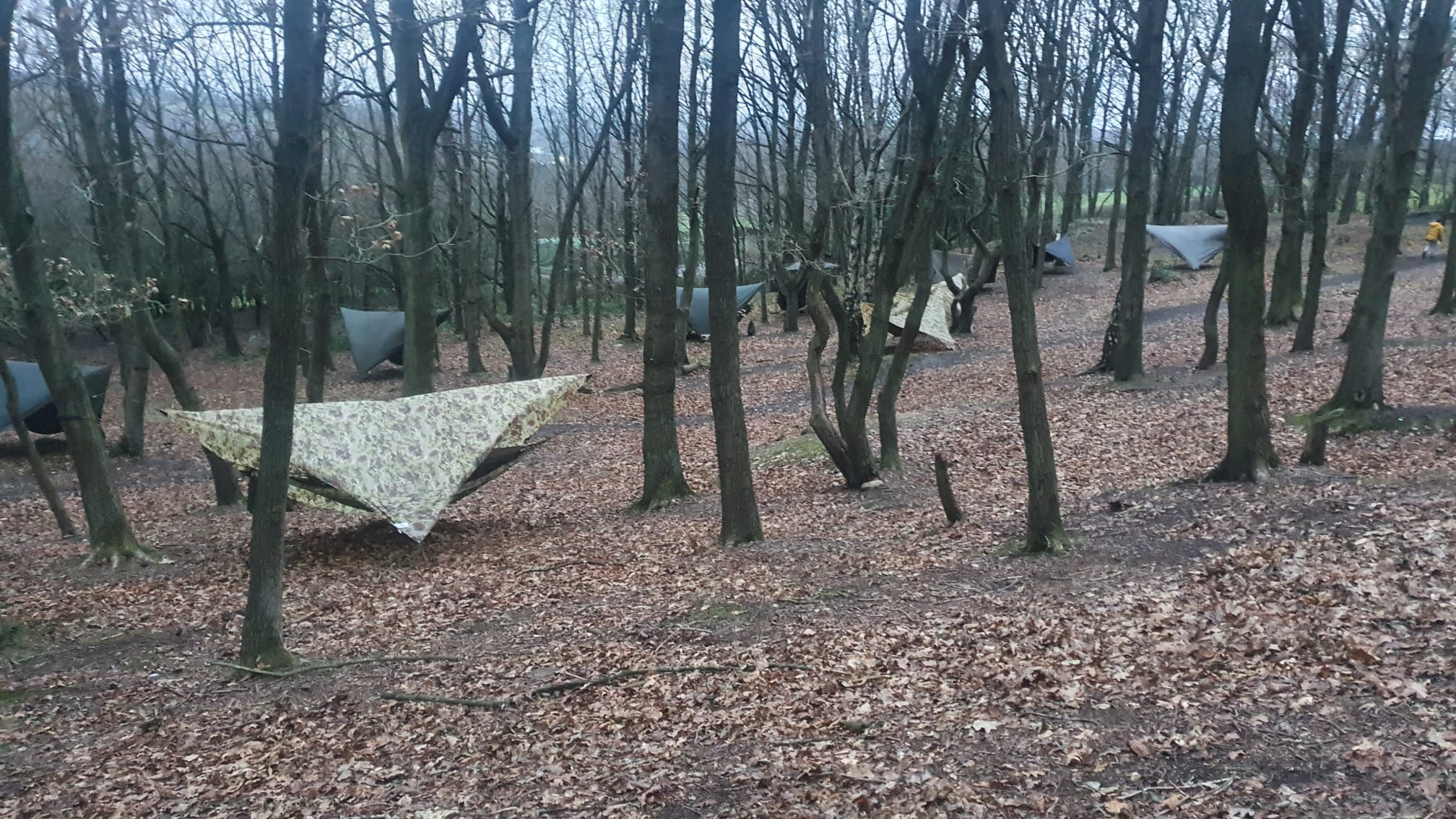 Cubs Hammock Camp – February 2022